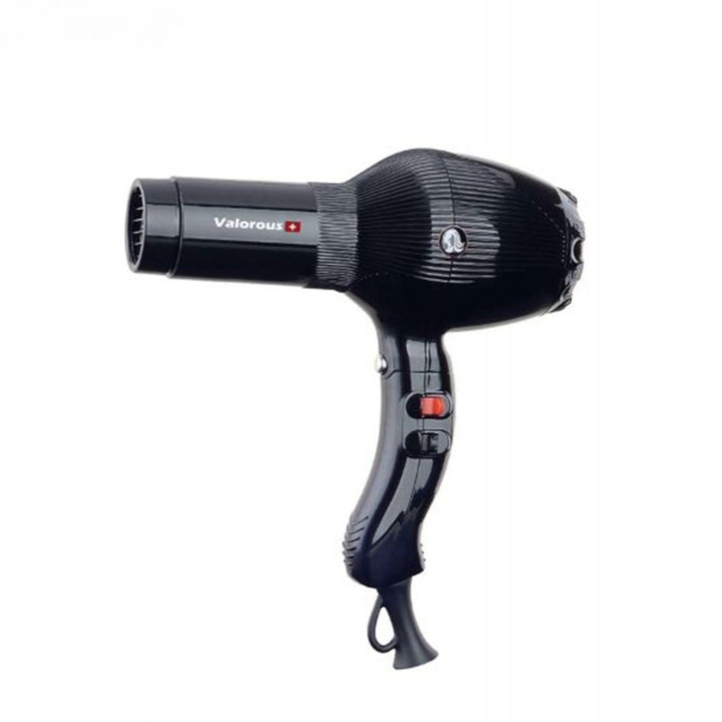[VL-5055] Professional Hair Dryer